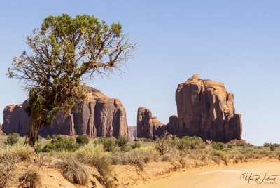 Monument Valley TP June 2025
